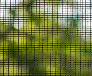 Close-up of a window screen with blurred green and white shapes visible in the background.